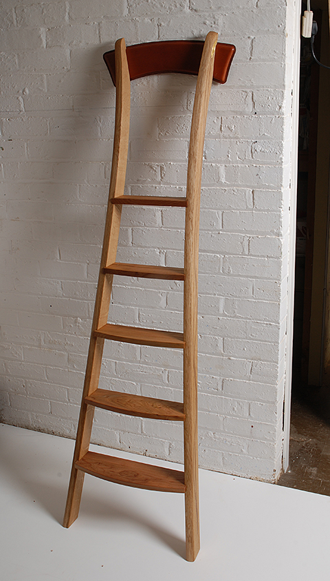 A Library Ladder For A Physician